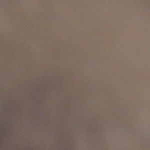 Meet your Posher, Angelica